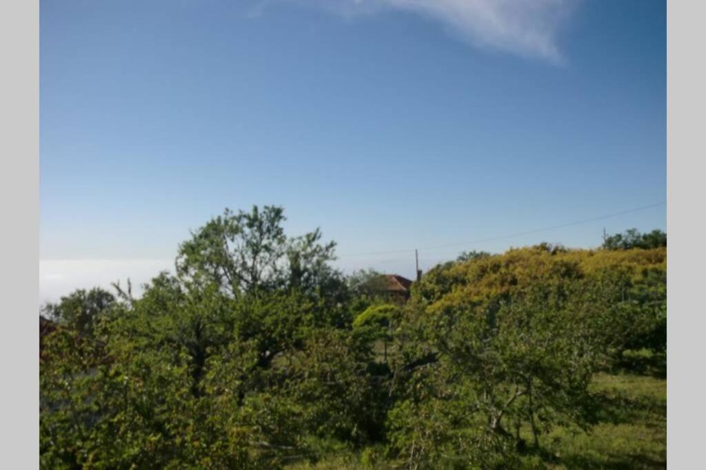 Casas Corea Puntagorda エクステリア 写真