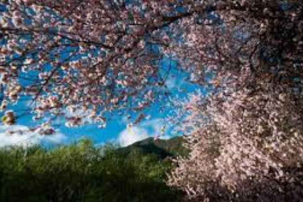 Casas Corea Puntagorda エクステリア 写真